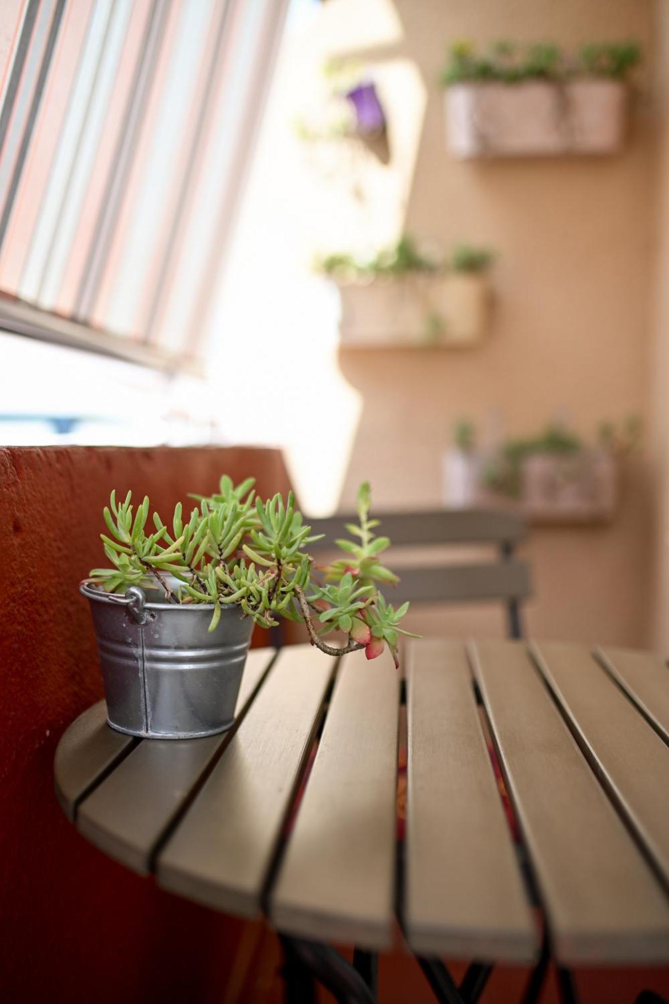 Near Zadar City Center Apartment With Free Parking And Air Condition In Each Room Екстер'єр фото